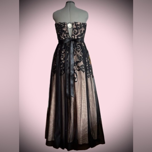 Betsy and Adam tulle maxi dress, fits like sz 8( says size 12) - Picture 3 of 5